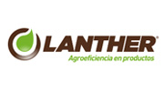 lanther
